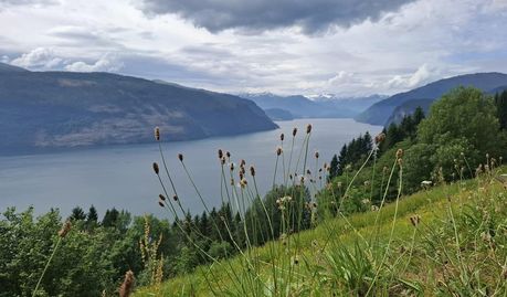 Die norwegische Landschaft mit ihren Fjorden ist besonders beeindruckend.