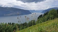 Die norwegische Landschaft mit ihren Fjorden ist besonders beeindruckend.
