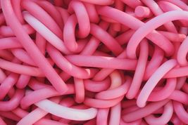 Dem Bewusstsein einen Cestoda lingua einzusetzen, der - im Gegensatz zum Bandwurm im Darm - seinen Wirt stärkt, damit  Populismus keinen Nährboden findet, ist das Anliegen dieser Kolumne.