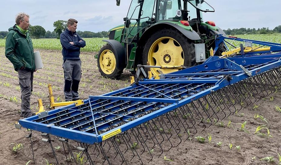 Markus Mücke und Tetje Meyerdierks präsentieren ihre Ergebnisse  auf dem Feld.