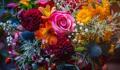 Mehr als nur Blüten und Farben: Ein geschenkter Blumenstrauß übermittelt verschiedene Botschaften über Liebe und Freundschaft.