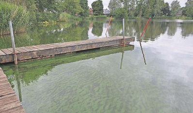 Mensch und Tier sollten Wasserkontakt meiden.