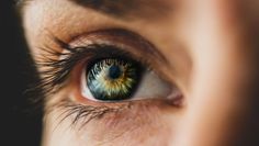 Der Welttag des Sehens, der in diesem Jahr am Donnerstag, 8. Oktober, begangen wird, soll dafür sensibilisieren, die eigenen Augen nicht aus dem Blick zu verlieren.