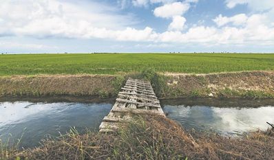 Dass trockengelegte Moore renaturiert werden sollen, wurde aus dem Entwurf des Naturwiederherstellungsgesetzes gestrichen.