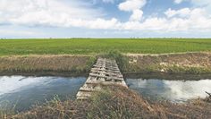 Dass trockengelegte Moore renaturiert werden sollen, wurde aus dem Entwurf des Naturwiederherstellungsgesetzes gestrichen.
