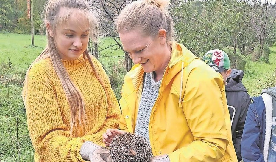 Maria schaut sich den Igel in Birthe Schlichters Hand aus der Nähe an, bevor er in die Freiheit entlassen wird.