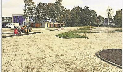 Der BUND meint, dass am Gymnasium Bremervörde zu viel Fläche versiegelt wurde.
