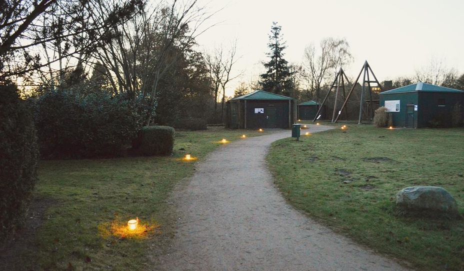 Die Lichter weisen den Weg über das Außengelände der „Welt der Sinne“.