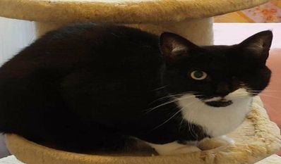 Foto: Tiere in Not e.V.