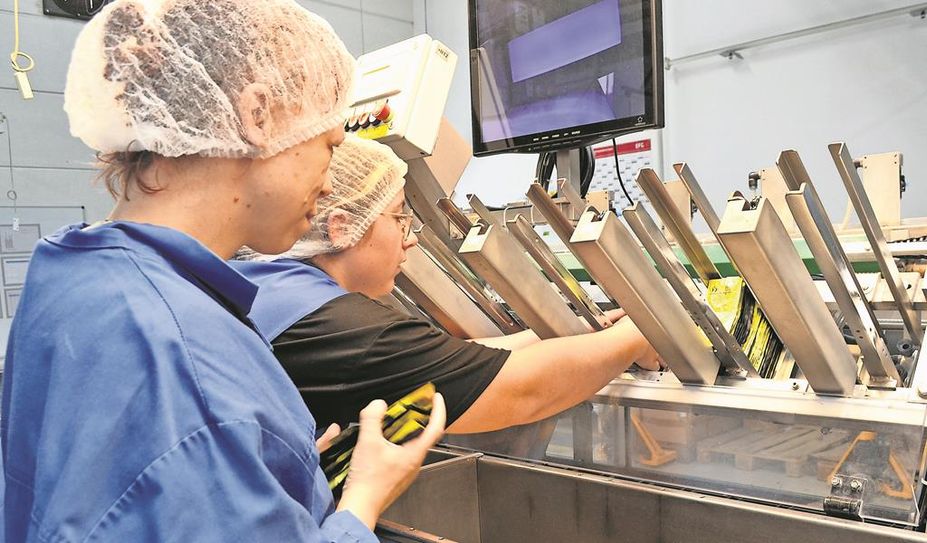 Anderer Betrieb, andere Arbeitsschritte - für Jenny Richter stellte das keine Herausforderung dar.