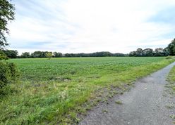Zwischen den beiden östlichen Teilflächen verläuft ein Feldweg mit Baumbestand (Wallhecke), der erhalten bleiben soll.