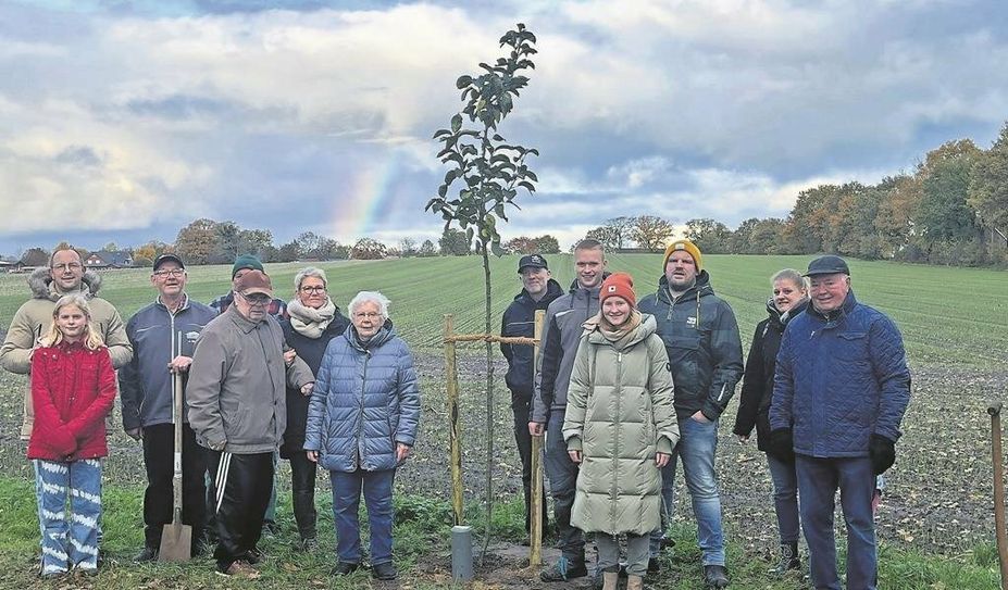 Eine besondere Tradition in der Süd-Börde wird fortgesetzt. Die Hochzeitsalleen in Abbenseth (oben) und Hollen wachsen weiter.