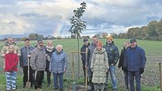 Eine besondere Tradition in der Süd-Börde wird fortgesetzt. Die Hochzeitsalleen in Abbenseth (oben) und Hollen wachsen weiter.
