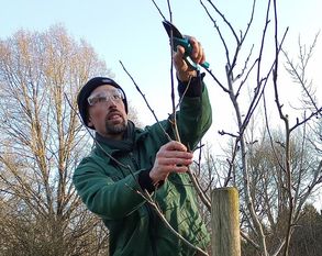 Torsten Brunkhorst zeigt am Baum, worauf zu achten ist.