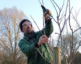 Torsten Brunkhorst zeigt am Baum, worauf zu achten ist.