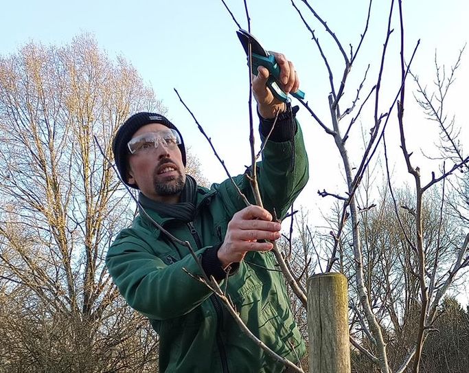 Torsten Brunkhorst zeigt am Baum, worauf zu achten ist.