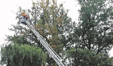 Die Drehleiter ist ein wichtiger Bestandteil bei den Einsätzen der Feuerwehr.