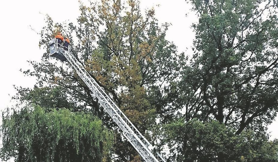 Die Drehleiter ist ein wichtiger Bestandteil bei den Einsätzen der Feuerwehr.