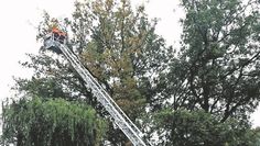 Die Drehleiter ist ein wichtiger Bestandteil bei den Einsätzen der Feuerwehr.