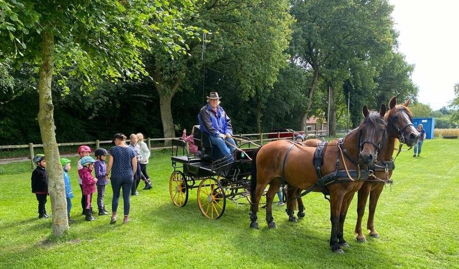 Gnarrenburg. Der Reitverein RUF Kuhstedt hatte 30 Kinder im Rahmen des Ferienprogramms der Gemeinde Gnarrenburg am 17. Juli zu Besuch. Trotz durchwachsenen Wetters haben die Kinder auf Ponys reiten und eine Kutschfahrt übers Gelände genießen können. Alle waren glücklich und zufrieden.