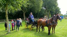 Gnarrenburg. Der Reitverein RUF Kuhstedt hatte 30 Kinder im Rahmen des Ferienprogramms der Gemeinde Gnarrenburg am 17. Juli zu Besuch. Trotz durchwachsenen Wetters haben die Kinder auf Ponys reiten und eine Kutschfahrt übers Gelände genießen können. Alle waren glücklich und zufrieden.