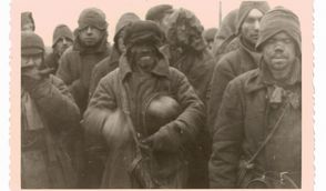 Vollkommen entrechtet und dem Tod geweiht: sowjetische Kriegsgefangene auf dem Weg in das Stalag X B Sandbostel.