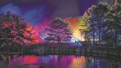 Die vielen bunten Lichter sorgen im Park für eine galaktische Stimmung.