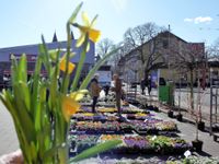 Mehr als 20 Aussteller präsentieren sich bei der Gewerbeschau in der Feldhofhalle.