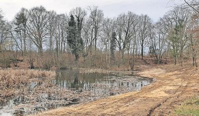 Der Blick auf den Oereler See nach der Umsetzung der Arbeiten.