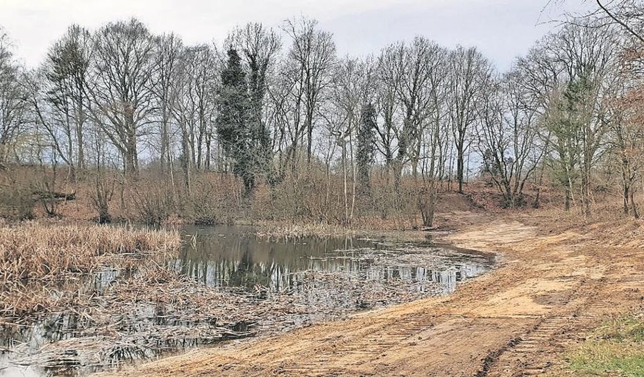 Der Blick auf den Oereler See nach der Umsetzung der Arbeiten.