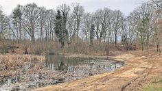 Der Blick auf den Oereler See nach der Umsetzung der Arbeiten.