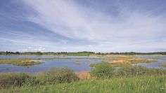 Die schöne Landschaft und die vorhandenen Tiere stehen im Mittelpunkt.