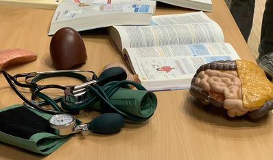 Die Schüler:innen konnten alltägliche Berufspraktiken von verschiedenen Jobs ausprobieren.