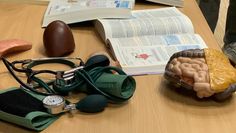 Die Schüler:innen konnten alltägliche Berufspraktiken von verschiedenen Jobs ausprobieren.