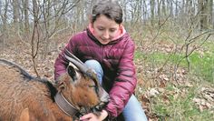 Die Schülerin Zoey von der HLS hat besonderen Gefallen an den Ziegen gefunden.