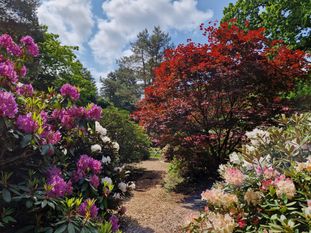 © 2026 Rhododendronpark Hobbie