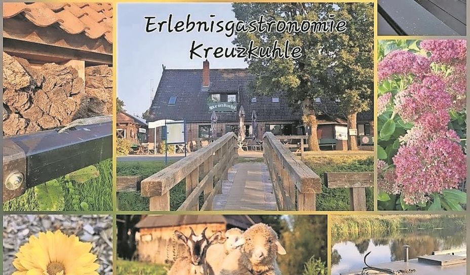 Die malerisch schöne Landschaft mit Blick auf das Moor und den Hafen lädt zum verweilen ein.