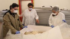 (v. l.) Miriam Gáyer, Eva Kümmel und Beate Tamchina begutachten ein aufwendig genähtes Brautkleid.