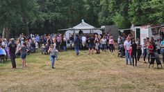 Der Reitverein Wörpedorf erwartet rund 500 Besucher am Turnier-Wochenende.