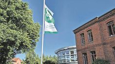Die grüne Flagge ist ein Zeichen für mehr Frieden auf der Welt.