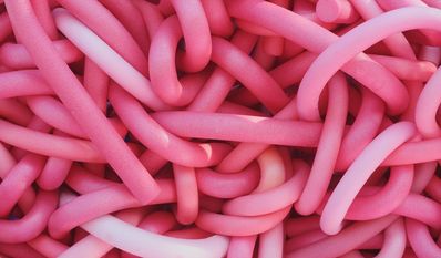 Dem Bewusstsein einen Cestoda lingua einzusetzen, der - im Gegensatz zum Bandwurm im Darm - seinen Wirt stärkt, damit Populismus keinen Nährboden findet, ist das Anliegen dieser Kolumne.