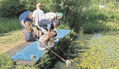 Die Kinder der zweiten Klasse erkunden den Teich und die Tiere.