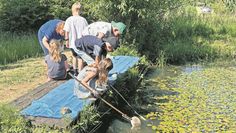 Die Kinder der zweiten Klasse erkunden den Teich und die Tiere.