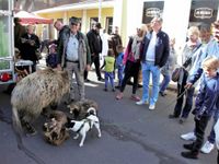 Der Beverstedter Herbstmarkt war ein voller Erfolg.