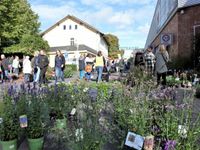 Der Beverstedter Herbstmarkt war ein voller Erfolg.