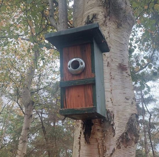 Nore Häusler und Petra Baack übernehmen von Manfred Segelken und Horst Gieschen federführend die Nistkästenpflege in Hollen.