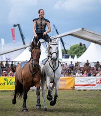 Die Trickreitershows werden alle Besucher begeistern.