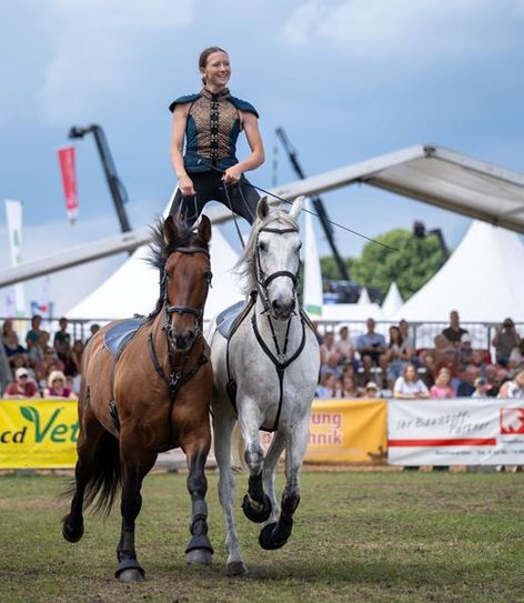 Die Trickreitershows werden alle Besucher begeistern.