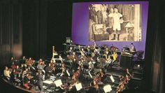 Das Philharmonische Orchester Bremerhaven spielt die Musik punktgenau.