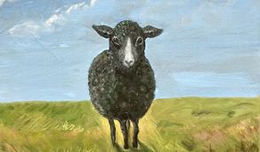 Auch die Tierwelt im Norden ist etwas ganz Besonderes.